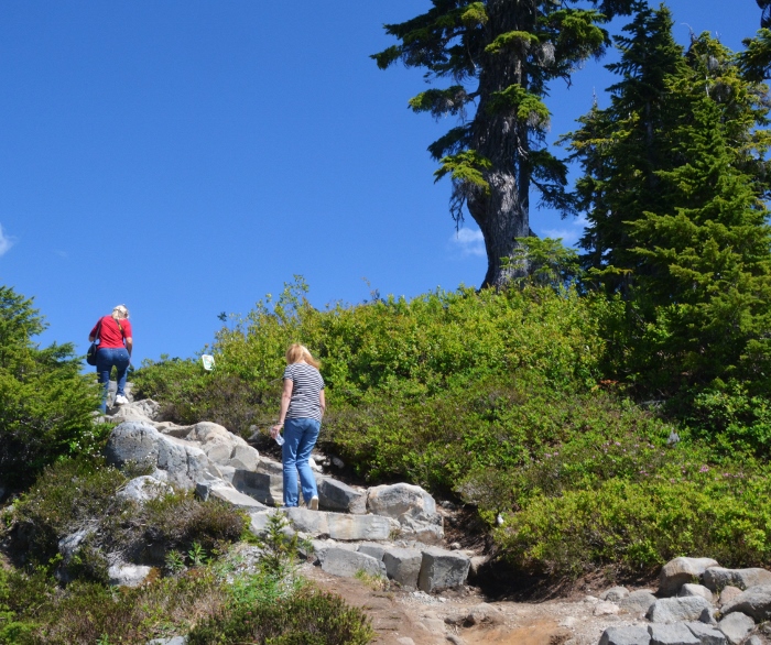 hiking the Artist Ridge Trail